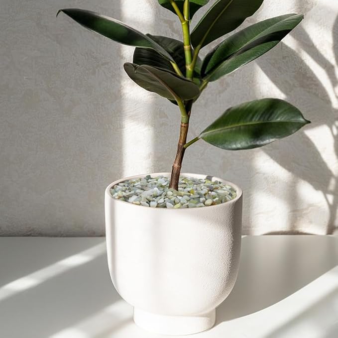 10LB Succulent and Cactus Pebbles, 1/5 Inch Jade Natural Decorative Polished - Image 5