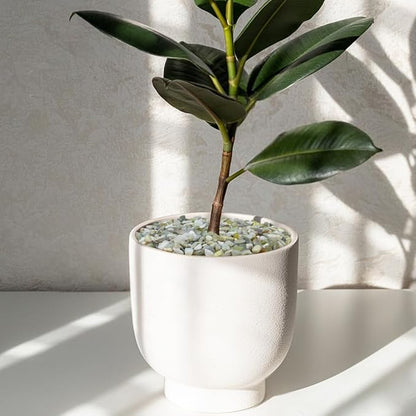 10LB Succulent and Cactus Pebbles, 1/5 Inch Jade Natural Decorative Polished - Image 5