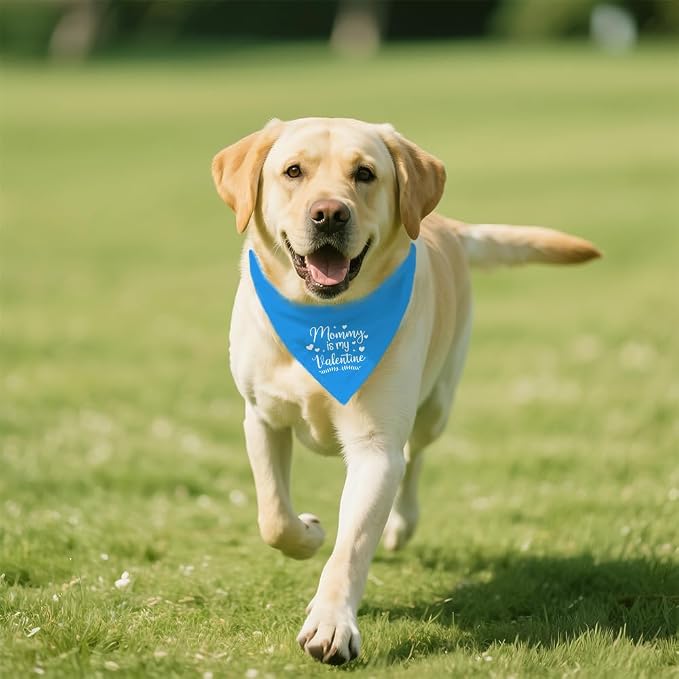 Funny Valentine's Day Dog Bandana - Image 5