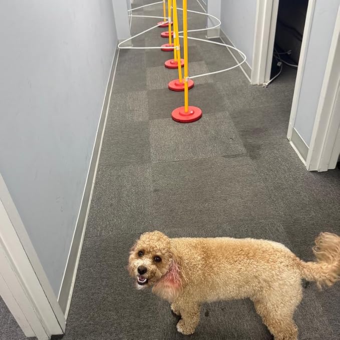Dog Agility Weave Pole Guides – Training Aids - Image 5
