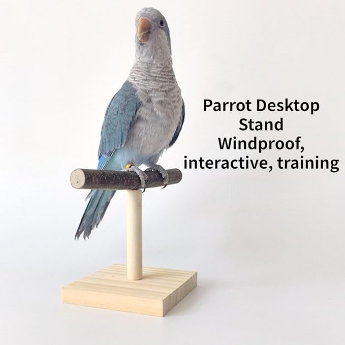 Bird Perch Stand, Bird Training Portable Tabletop Platform, Parrot Cage Toy Gym - Image 4