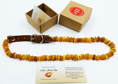 Baltic Amber Dog & Cat Collar - Image 9