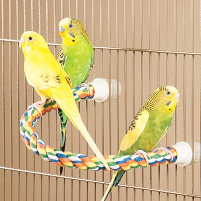 JW Pet Comfy Perch For Birds Flexible Multi-color Rope, Medium - Image 4
