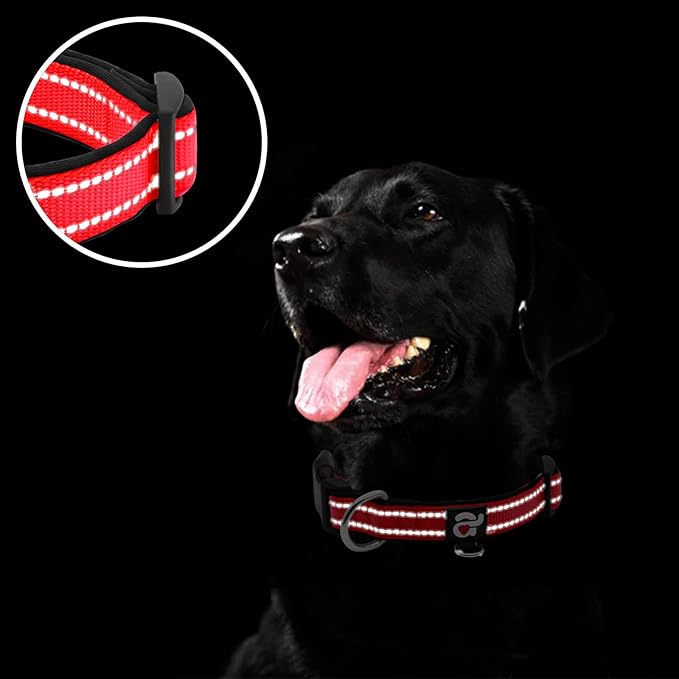 azuza Reflective Dog Collar, Soft Neoprene Padded Pet Collar - Image 4