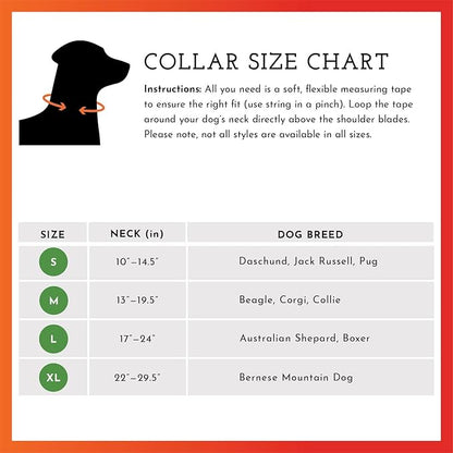SPOT THE DOG! Reflective Dog Collar - Image 6