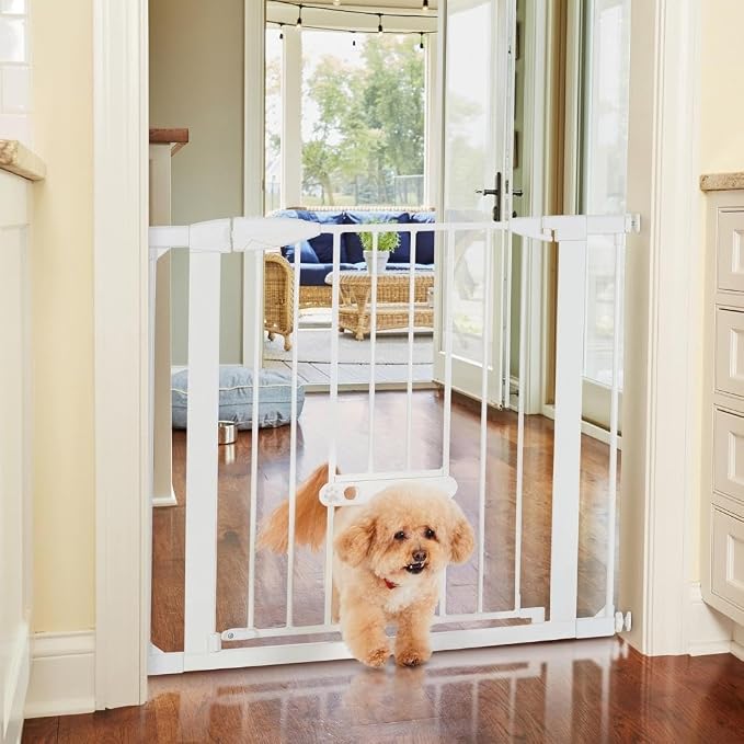 MYPET North States Wide Walk Thru EasyPass Pet Gate by MyPet