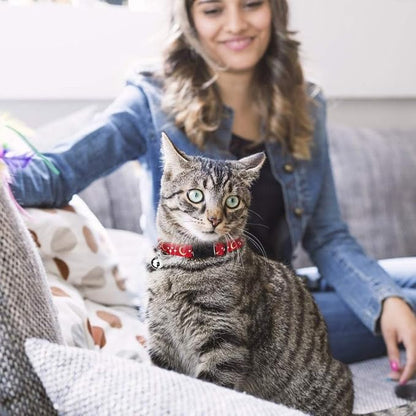 6 PCS Breakaway Cat Collars - Image 7