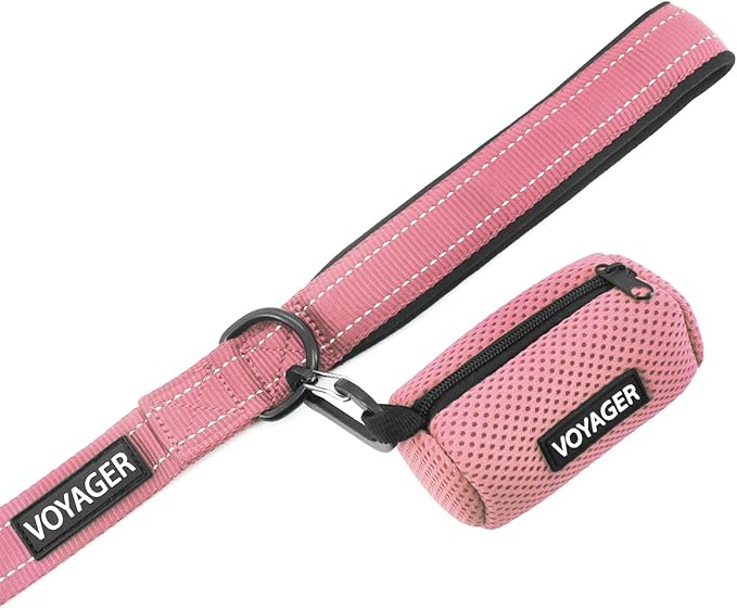 Best Pet Supplies Voyager Reflective Dog Leash or Collar - Image 4