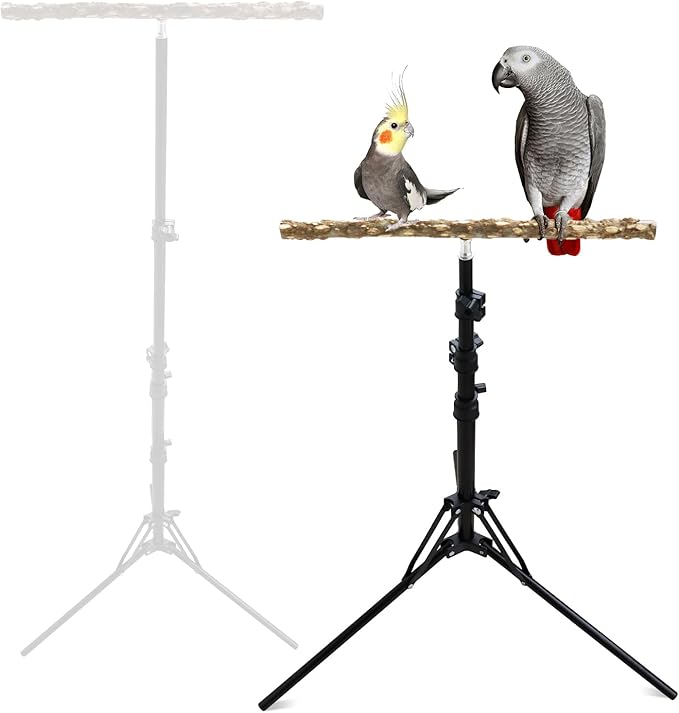 Wooden Bird Perch Stand with a Height Adjustable Tripod, Bird Training by Unknown