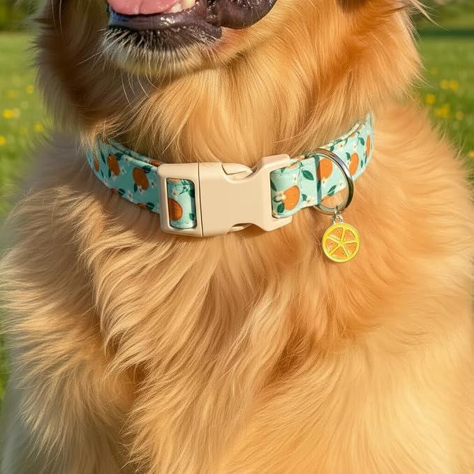 Dog Collar, Spring Summer Dog Collar - Image 4