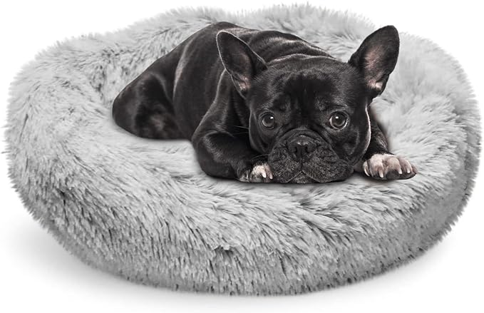 Whiskers & Friends Cat Bed Dog, Cat Beds by WhiskersFriends