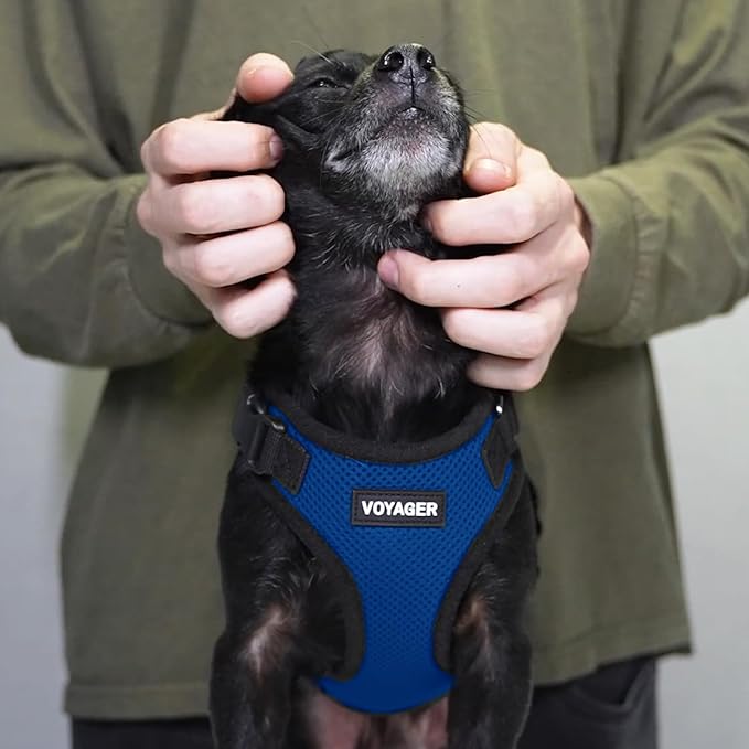 Voyager Step-in Pet Harness - Image 8