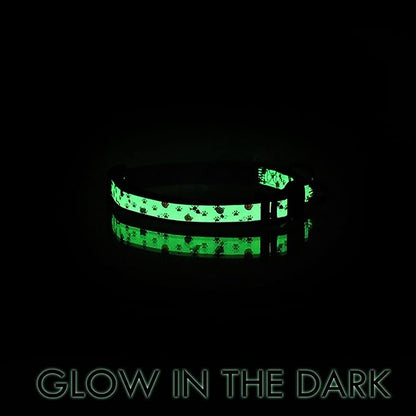 Pawtitas Glow in The Dark Cat Collar - Image 8