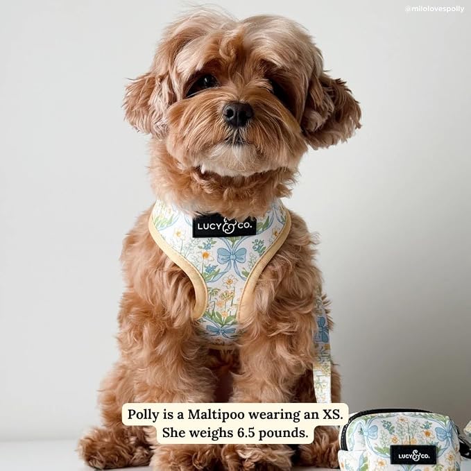 Lucy & Co. Sunshine and Daffodils Reversible Dog Harness, Adjustable Comfort Fit - Image 2