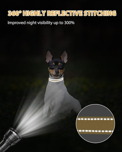 Joytale Small Dog Collar, Reflective and Adjustable Nylon Collar - Image 5