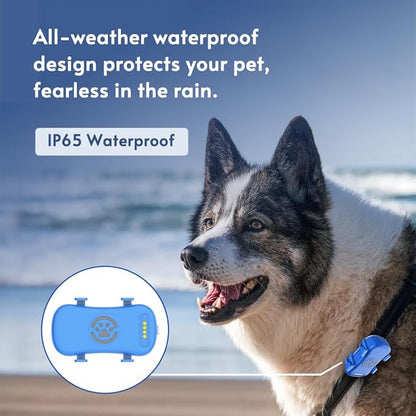 GPS Tracker for Dogs, Real-time Dog Tracker - Image 7
