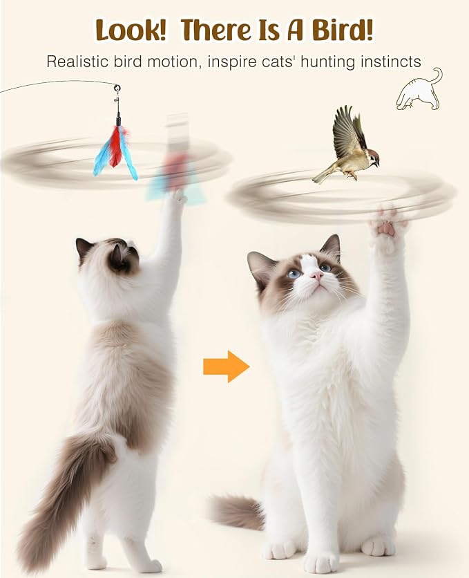 Pawaboo Feather Teaser Cat Toy, Interactive Feather Wand Cats Toy Flying - Image 4