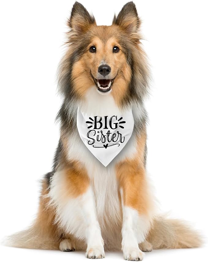 Big Sister Dog Bandana, Pet Bandana - Image 4
