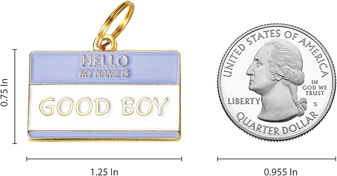 Two Tails Pet Company Personalized 'Good Boy' Pet ID Tag & Collar Charm - Image 2