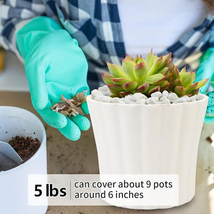 5LB Succulent and Cactus Gravel Pebbles, 1/5 Inch White Natural Decorative - Image 4