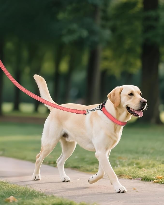 Joytale Large Dog Collar, Reflective and Adjustable Nylon Pet Collar - Image 6
