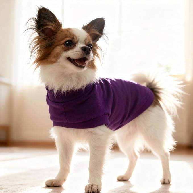 EXPAWLORER Soft Cat Sweater - Image 6