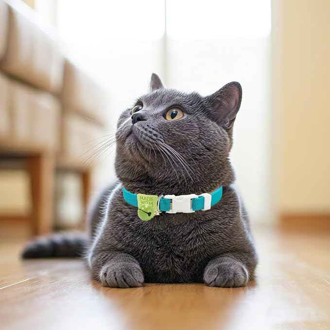 Elastic Cat Collar 2 Pack of Safety Quick Release Cat Collars - Image 4