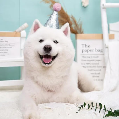 PET SHOW 5 Pack Small Dog Birthday Hats Party Hats - Image 6