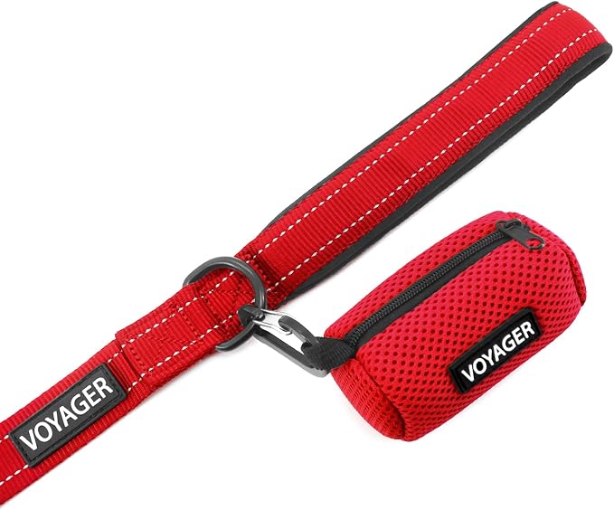 Best Pet Supplies Voyager Reflective Dog Leash or Collar - Image 4