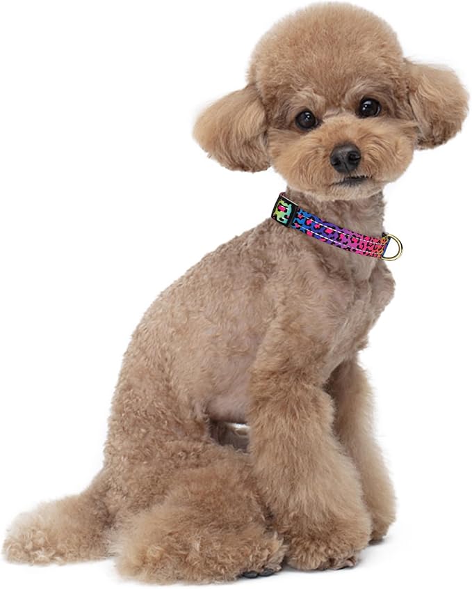 Reflective Dog Collar for Small Dogs Cats, Cute Leopard Style Adjustable - Image 2