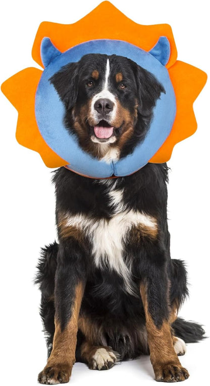 IEUUMLER Inflatable Recovery Dog Collar, Protective Donut Cone, Adjustable Soft by IEUUMLER