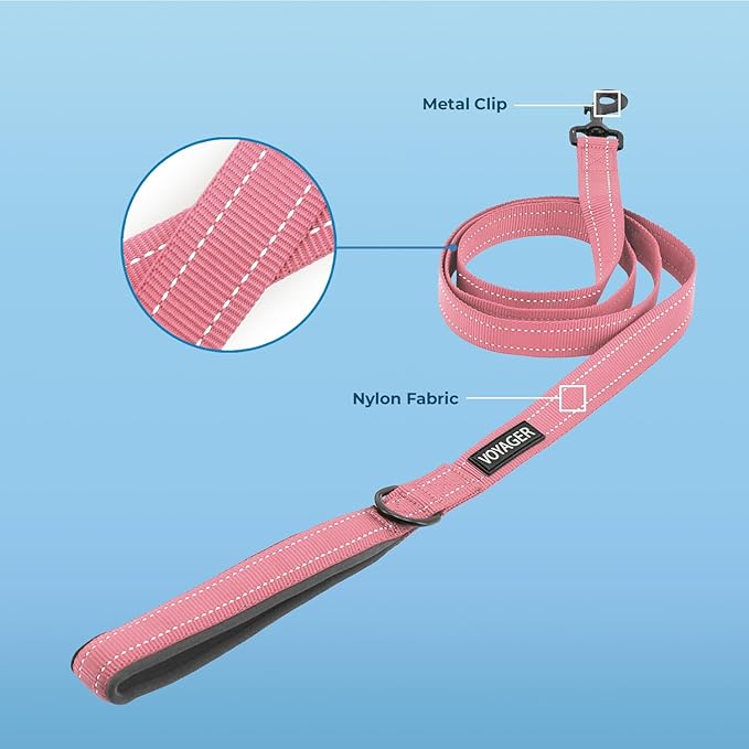 Best Pet Supplies Voyager Reflective Dog Leash or Collar - Image 2
