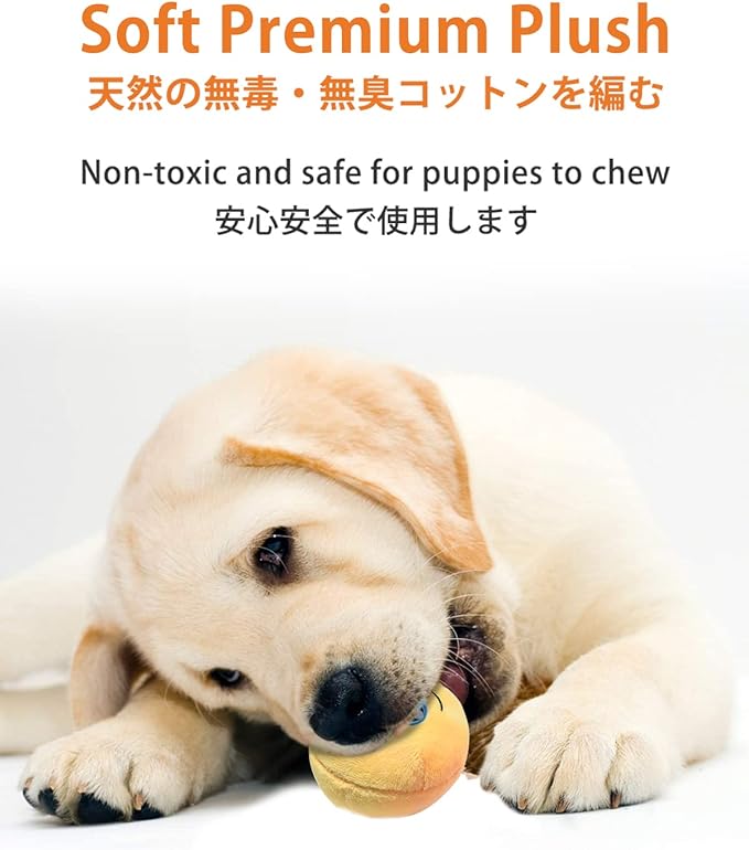 SCHITEC Squeaky Dog Toys, Soft Stuffed Plush Balls - Image 3