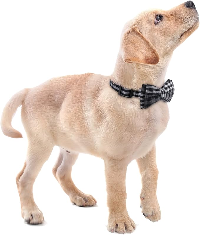 Faleela Soft &Comfy Bowtie Dog Collar, Detachable and Adjustable Bow Tie Collar - Image 6