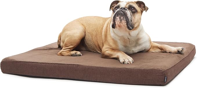 Barkbox Orthopedic Dog Bed by BARK