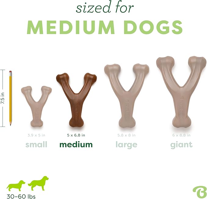 Benebone Peanut Butter Flavored Wishbone Chew Toy - Image 4