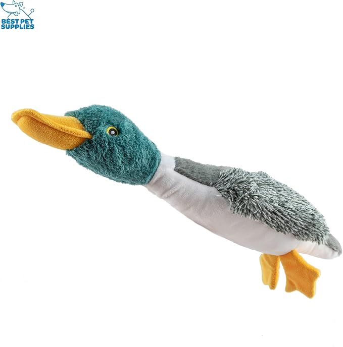 Best Pet Supplies Interactive Squeaky Dog Chew Toy, Ideal Dog Toys - Image 4