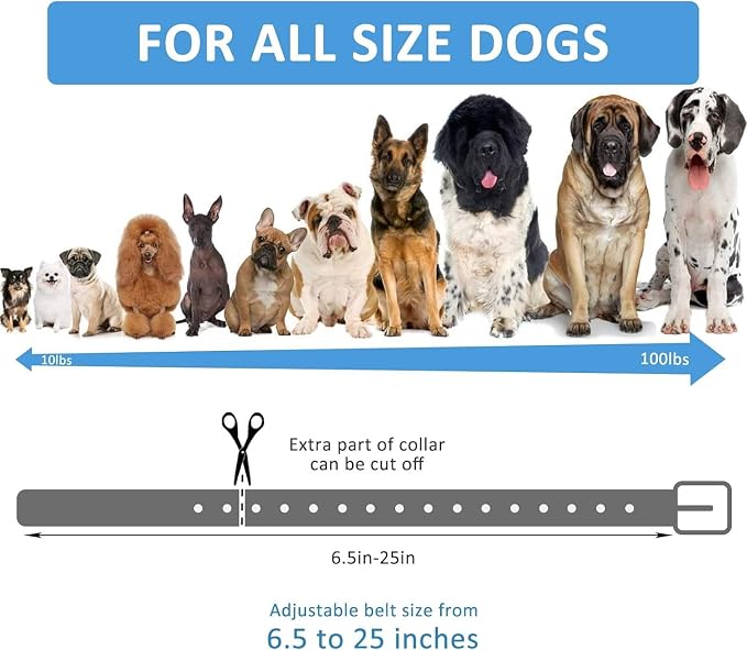 Sparky Pet Co - Surefit ECollar Replacement Strap - Bungee Dog - Image 7