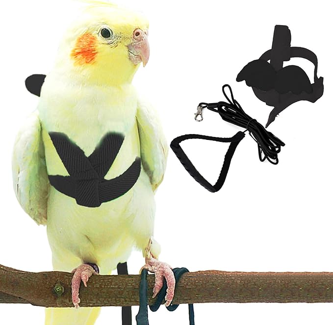 Dnoifne Pet Parrot Bird Harness and Leash, Adjustable Training Design Anti-Bite by Dnoifne