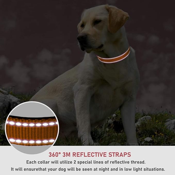 Reflective Dog Collar with Buckle Adjustable Safety Nylon Collars - Image 4