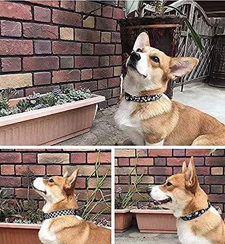 Roses&Poetry Dog Collar with Colourful Star Patterns, Adjustable Durable Puppy - Image 6