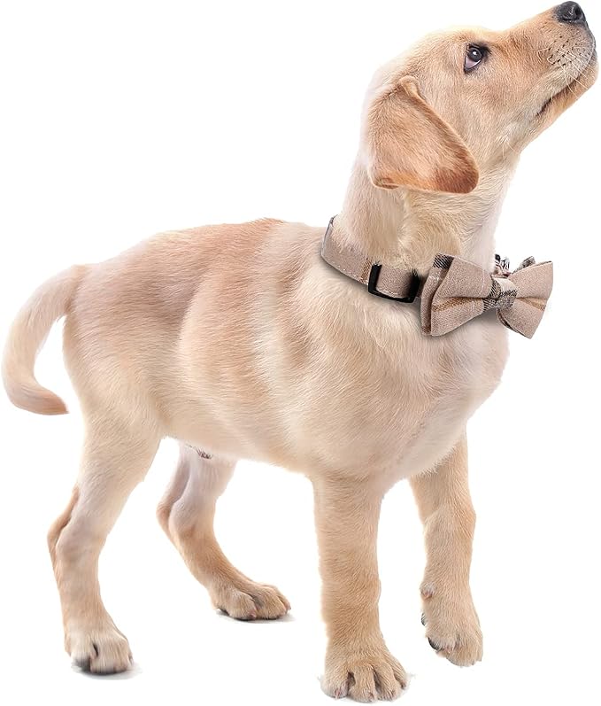 Faleela Soft &Comfy Bowtie Dog Collar, Detachable and Adjustable Bow Tie Collar - Image 6