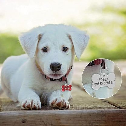 Personalized Dog Cute Paw Pet ID Tag - Image 8