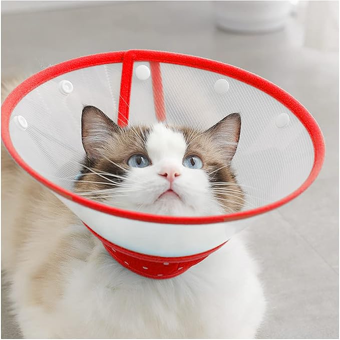 Pet Cone Recovery Dog Cone Adjustable Dog Collar Clear Padded Collar - Image 5