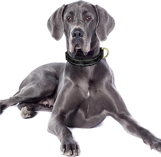 Reflective Dog Collar for Large Dogs, Cute Camouflage Adjustable Heavy-Duty - Image 2