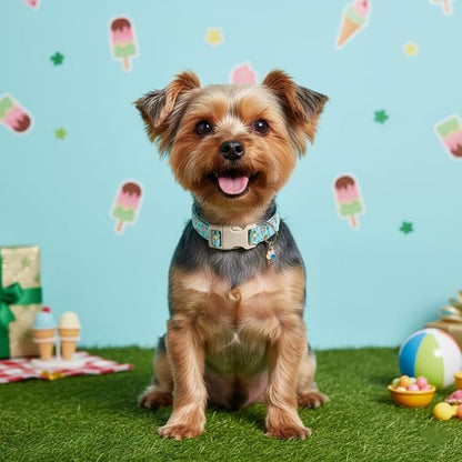 Cute Dog Collar, Girl Boy Dog Collar - Image 2