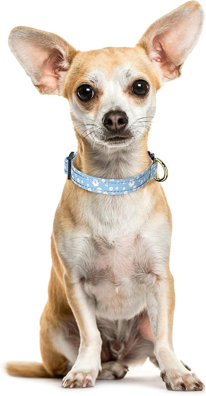 Reflective Dog Collar for Extra Small Dogs, Cute Daisy Theme Adjustable - Image 2