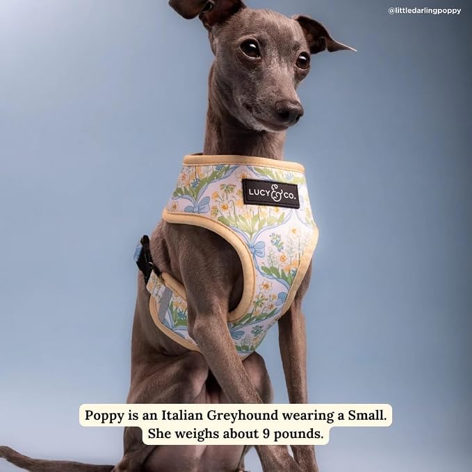 Lucy & Co. Sunshine and Daffodils Reversible Dog Harness, Adjustable Comfort Fit - Image 6