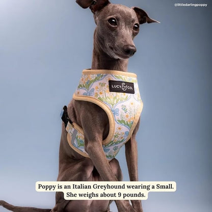 Lucy & Co. Sunshine and Daffodils Reversible Dog Harness, Adjustable Comfort Fit - Image 6