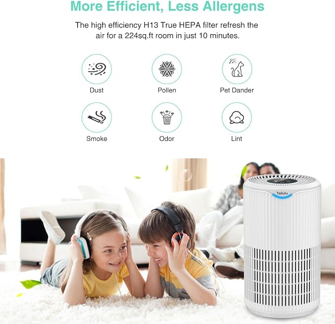 Tailulu Air Purifier Replacement Filter - Image 6